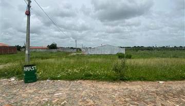 WhatsApp Image 2026-02-25 at 17.17.20.jpeg